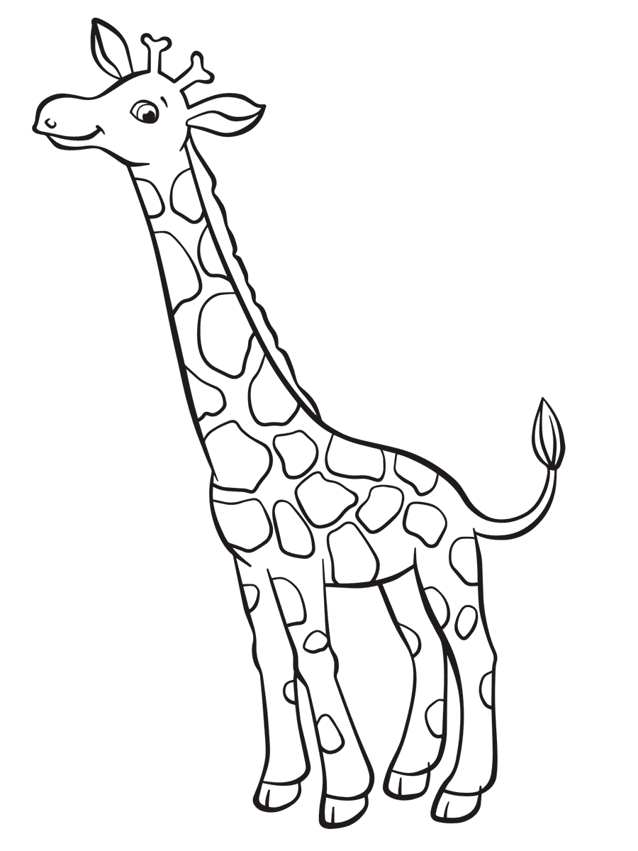 Ausmalbild Giraffe