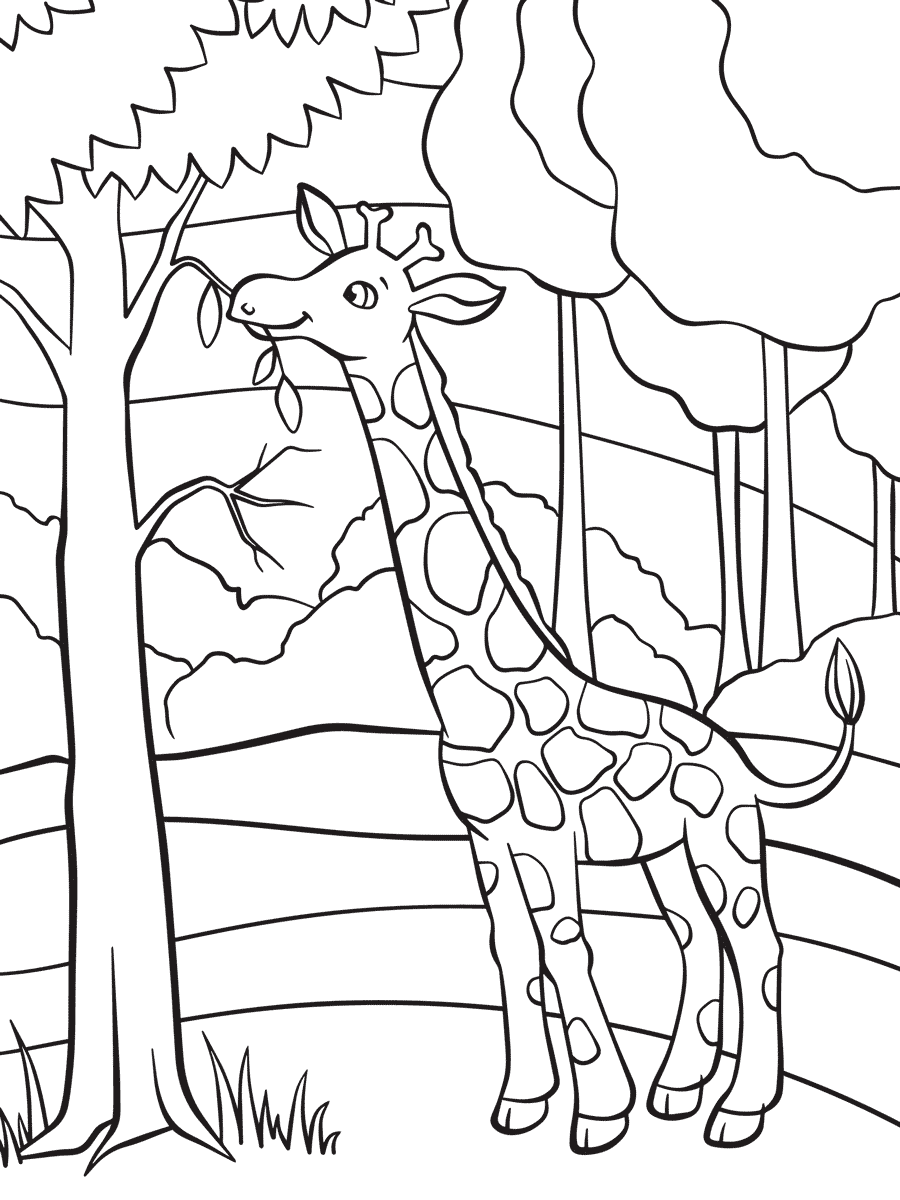 Malvorlage Giraffe