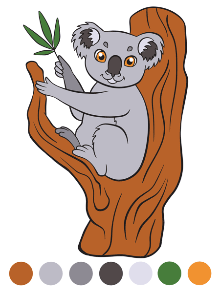 Malvorlage Koala Farben