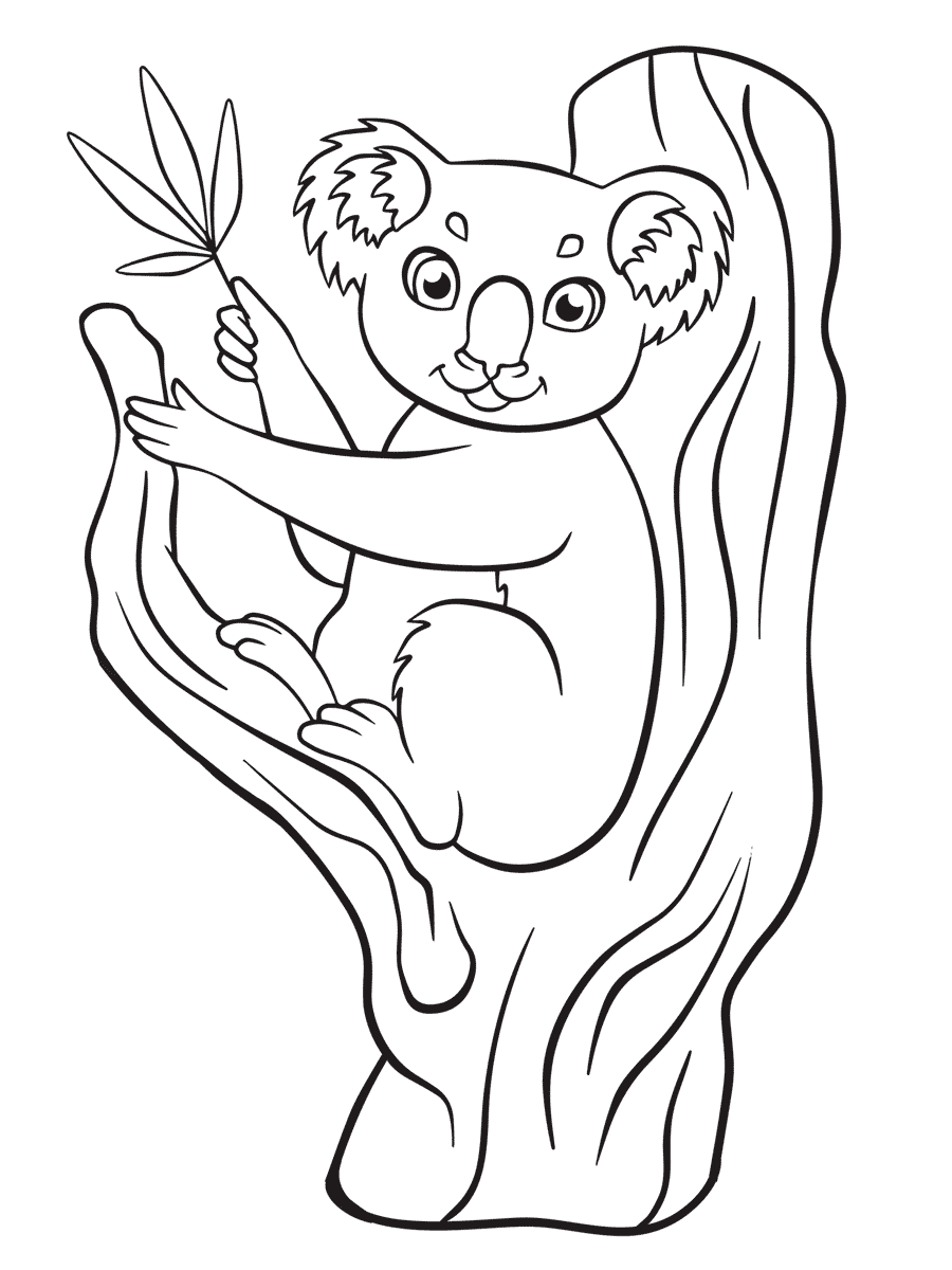 Malvorlage Koala
