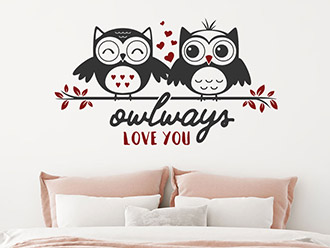 Wandtattoo Owlways love you