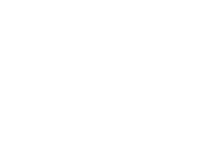 Wandtattoo Zebra