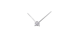 Wandtattoo Uhr Carpe Diem