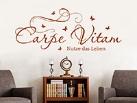 Lateinisches Wandtattoo Carpe Vitum in Farbe