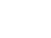 Wandtattoo Putziger früher Vogel