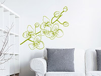 Wandtattoo Blühende Orchidee im Wohnzimmer in oliv
