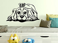 Wandtattoo King Charles Spaniel in grau auf farbiger Wand