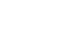 Wandtattoo Dinosaurier Set