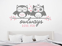 Wandtattoo Owlways love you