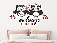 Wandtattoo Owlways love you im Schlafzimmer