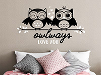 Eulen Wandtattoo Owlways love you auf dunkler Wandfläche