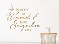 Zweifarbiges Wandtattoo Lass dir nicht den Wind auf heller Wand