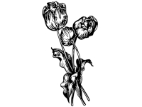 Wandtattoo Tulpen
