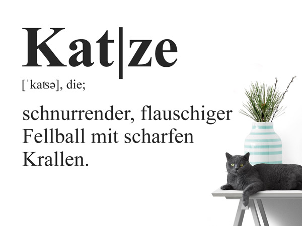 Wandtattoo Definition Katze als Geschenk