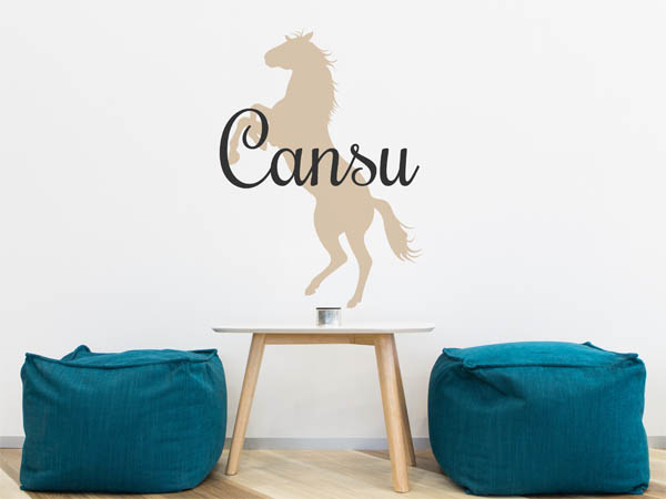 Wandtattoo Cansu mit Pferd