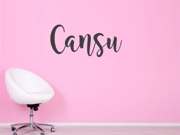 Wandtattoo Cansu in Handschrift