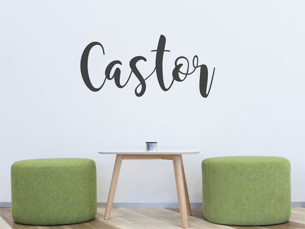 Wandtattoo Castor in Handschrift