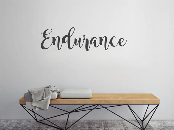 Wandtattoo Endurance in Handschrift